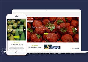 响应式果蔬大棚企业源码模板下载（带后台）