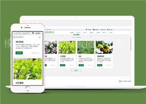大气响应式绿化企业网站模板源码下载（带后台）