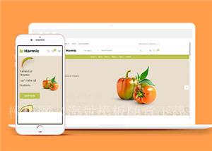 简洁蔬菜水果超市电商网站模板源码下载（带后台）