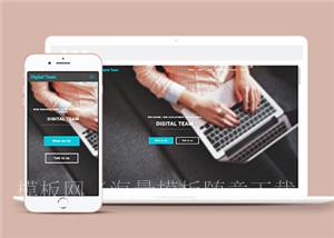 简洁数字团队服务展示响应式网页模板下载（带后台）