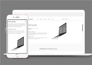 软件产品服务企业网页模板下载（带后台）