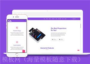 紫色APP项目展示网页模板下载（带后台）