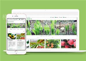 绿色大气响应式绿化公司网站模板下载（带后台）