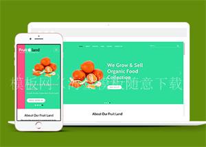 多彩简约新鲜水果网站销售模板下载（带后台）
