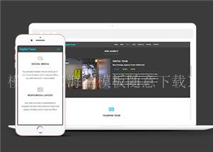 数字团队服务展示响应式通用网页模板下载（带后台）