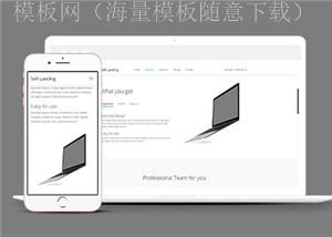 软件产品服务团队响应式通用网页模板下载（带后台）