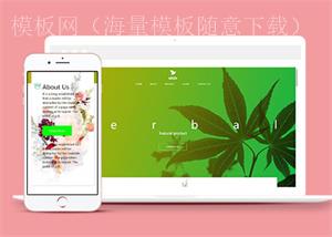 渐变绿色天然植物精油宣传页面模板（带后台）