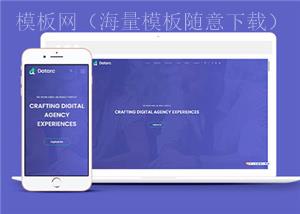 数字信息产品代理响应式网页模板下载（带后台）