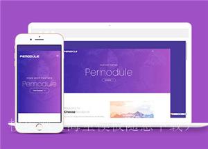 紫色信息动态展示响应式网页模板下载（带后台）