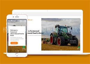简约HTML5纯天然有机农产品网站模板（带后台）