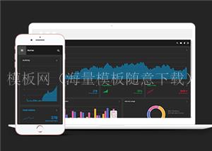 黑色响应式图形统计后台数据管理网站静态模板（带后台）