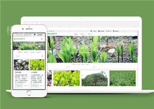 绿色大气响应式绿化公司HTML5网站模板下载（带后台）