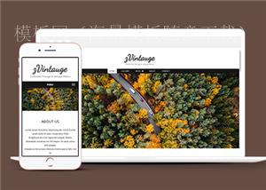 自适应幻灯图文博客日志网站静态模板（带后台）