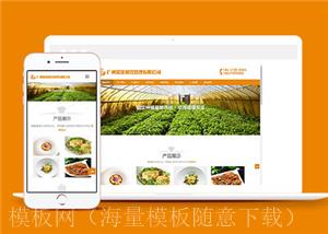 绿色餐饮管理类网站前端模板下载（带后台）