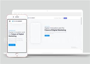 自适应搜索引擎SE0营销公司网站静态模板（带后台）