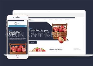 蓝色响应式新鲜水果商店单页网站HTML模板（带后台）