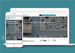 响应式SEO搜索引擎优化服务公司网站html模板（带后台）