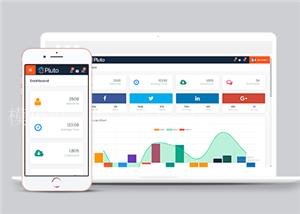 响应式图形统计网站后台管理html模板（带后台）