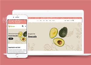 响应式绿色有机蔬菜水果美食商城网站html模板（带后台）