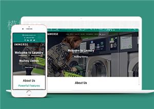 绿色响应式在线预约上门取件洗衣店网站模板（带后台）