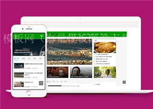 绿色美容养生资讯HTML5前端模板下载（带后台）