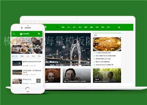 绿色美容养生新闻资讯类网站前端模板（带后台）
