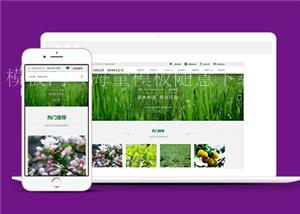 html5绿化种植公司网站模板下载（带后台）