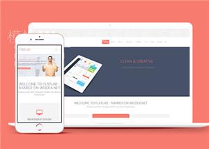 扁平风IT企业HTML5网站模板下载（带后台）