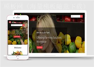 绿色水果蔬菜批发直营通用HTML5模板下载（带后台）