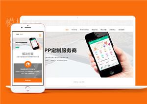 彩色app开发公司网络科技公司模板下载（带后台）