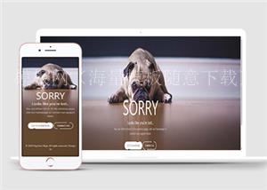 简约可爱sorry404错误页面小狗模板HTML5网站模板（带后台）