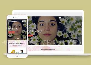 皮肤美容SPA养生养生馆宣传主页网站模板（带后台）