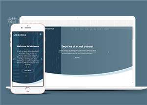 灰蓝简约响应式信息科技公司网站模板（带后台）