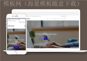 自适应品牌设计网络应用企业网站模板（带后台）