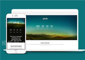 olive橄榄色大自然多用途单页web网站模板（带后台）