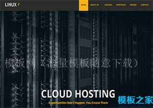 linux时尚平整现代高质量标准设计响应式多页网站模板（带后台）