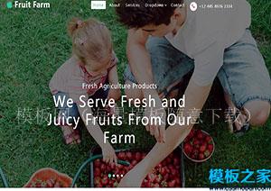 Fruit Farm水果采摘农家乐引导式单页网站模板（带后台）