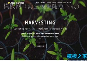 Agro Harvest宽屏绿色植物盆栽创新html模板（带后台）