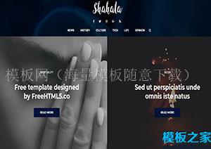 Shahala创意工作室响应式布局网站模板（带后台）