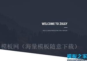 Ziggy黑白UI个人生活主题响应式网站模板（带后台）