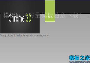 chrome闪光灯浅灰色双列博客网站模板（带后台）