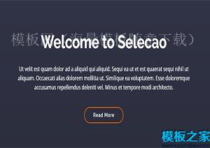 Selecao框架创建便捷响应式网站模板（带后台）