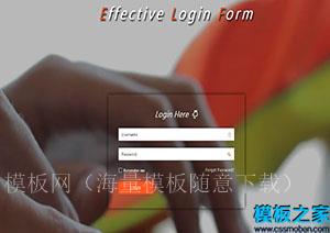 Effective宽屏设计快速登录界面单页网站模板（带后台）