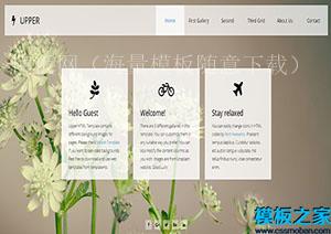 Upper杏色个人博客运维web网站模板（带后台）