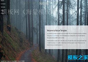 Nature自然森林风光css单页响应式模板（带后台）