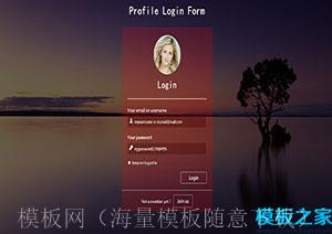 唯美注册登录响应式单页小部件web网站模板Profile（带后台）