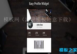  Profile Widget个人主题设计响应式单页web网站模板（带后台）