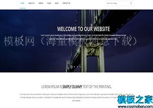 Lorem ipsum紫色星空企业运营博客web网站（带后台）