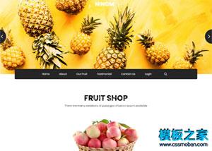 FRUIT SHOP水果商店响应式网站模板（带后台）