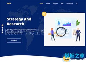 Seo数据分析营销团队企业官网模板（带后台）